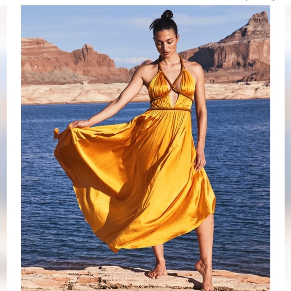 CULT GAIA SALEE GOWN 2